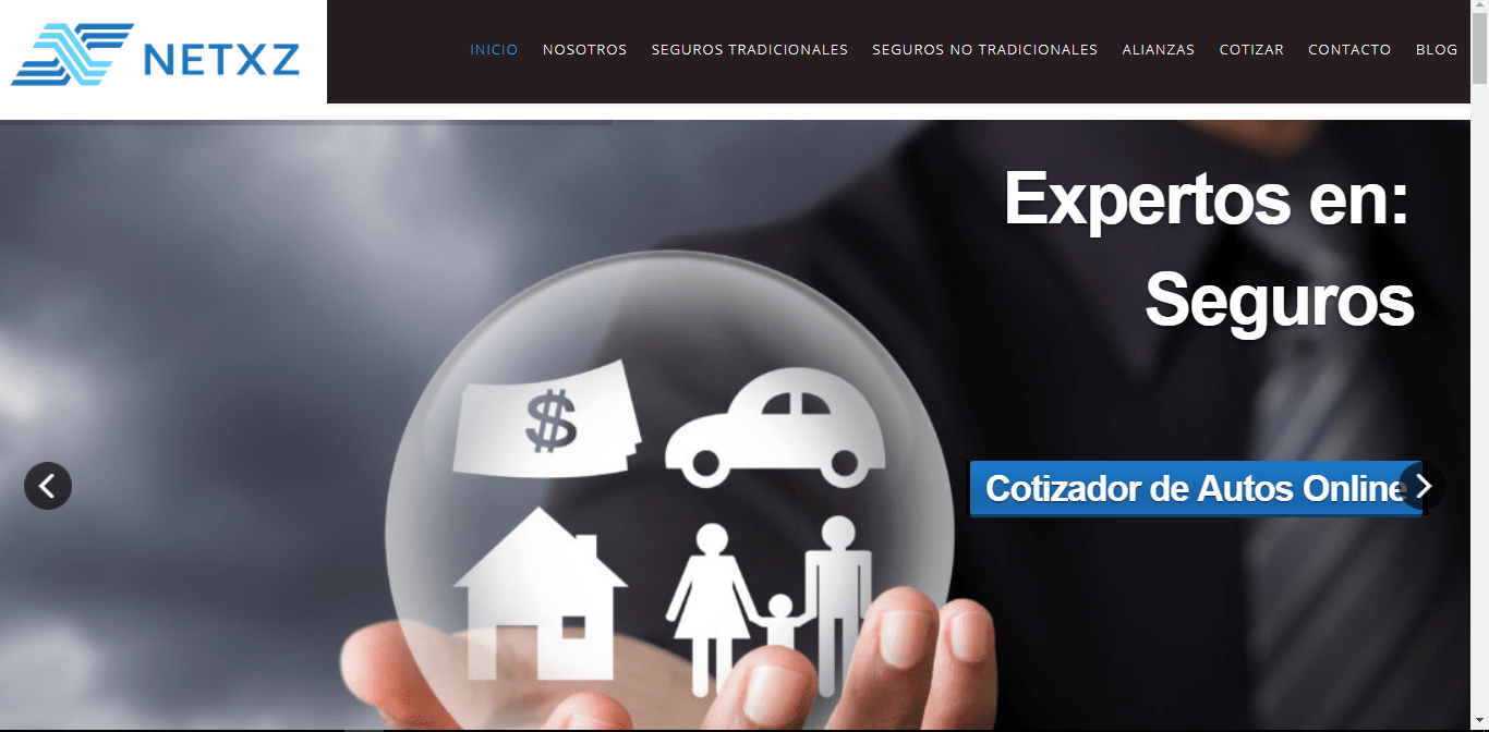 Netxz Insurance Solutions